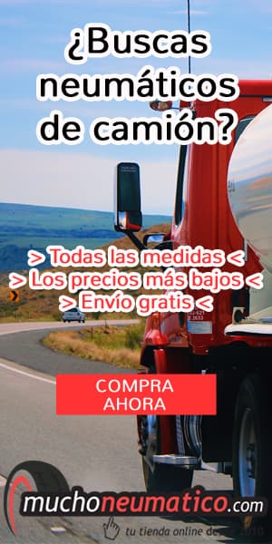 Tabla presión neumáticos camiones